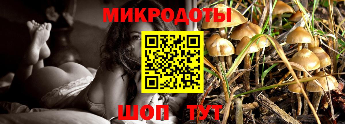 Галлюциногенные грибы MAGIC MUSHROOMS Череповец